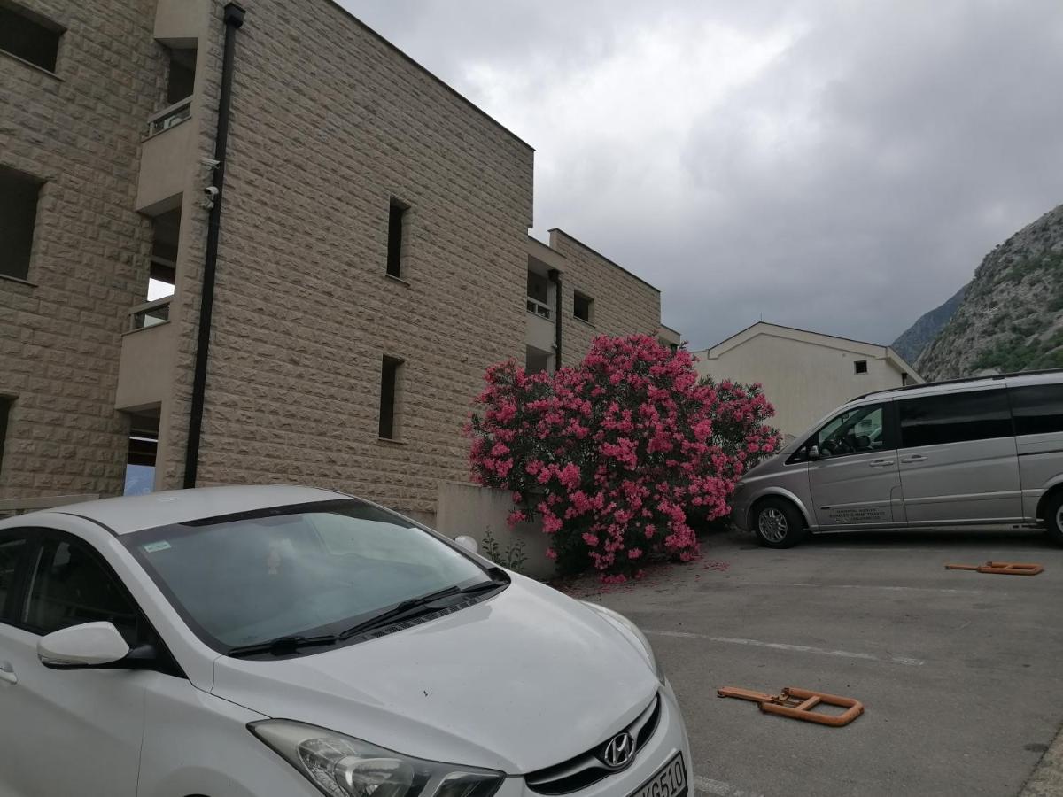 Villa Milla Kotor Bagian luar foto